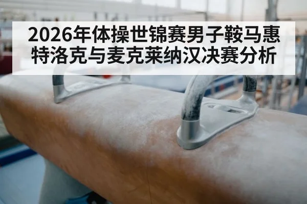 2026年体操世锦赛男子鞍马惠特洛克与麦克莱纳汉决赛分析（kaiyun）
